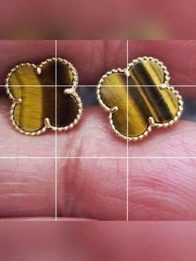 💛Tiger Eye Earrings